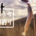 釣り仲間と久しぶりの釣行。秋を感じる魚を釣って、天ぷらで食す！